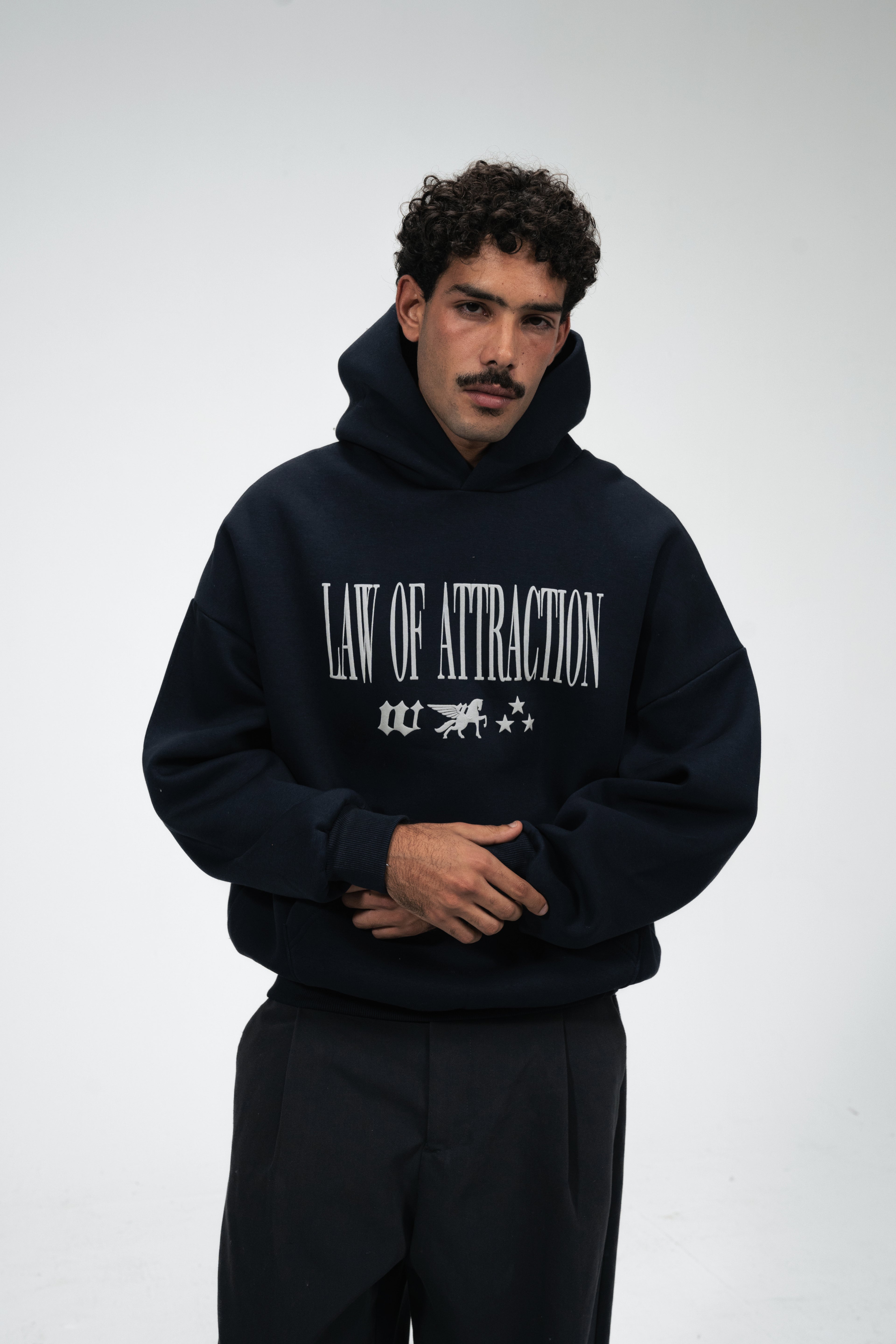 Law of Attraction Hoodie