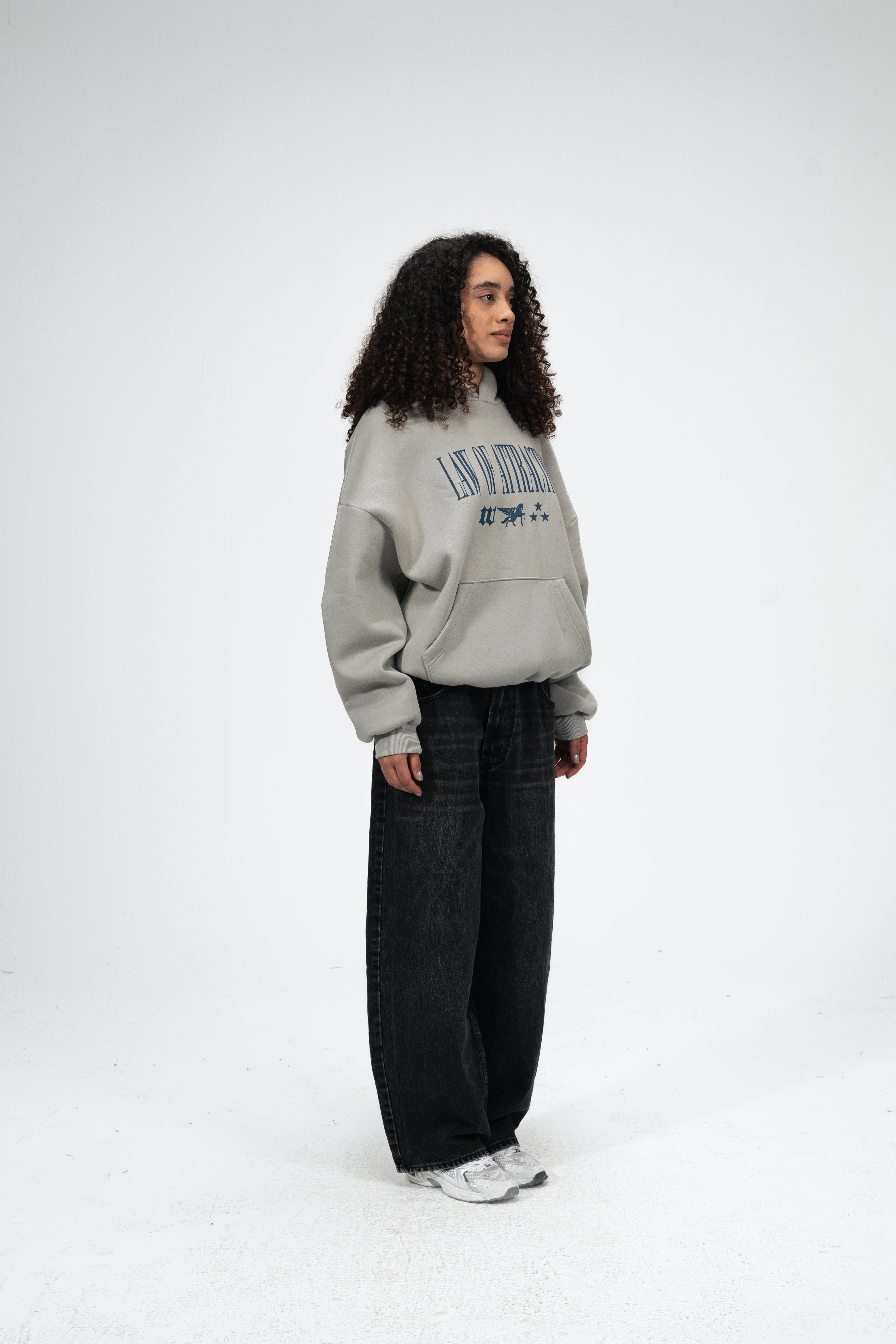 Law of Attraction Hoodie