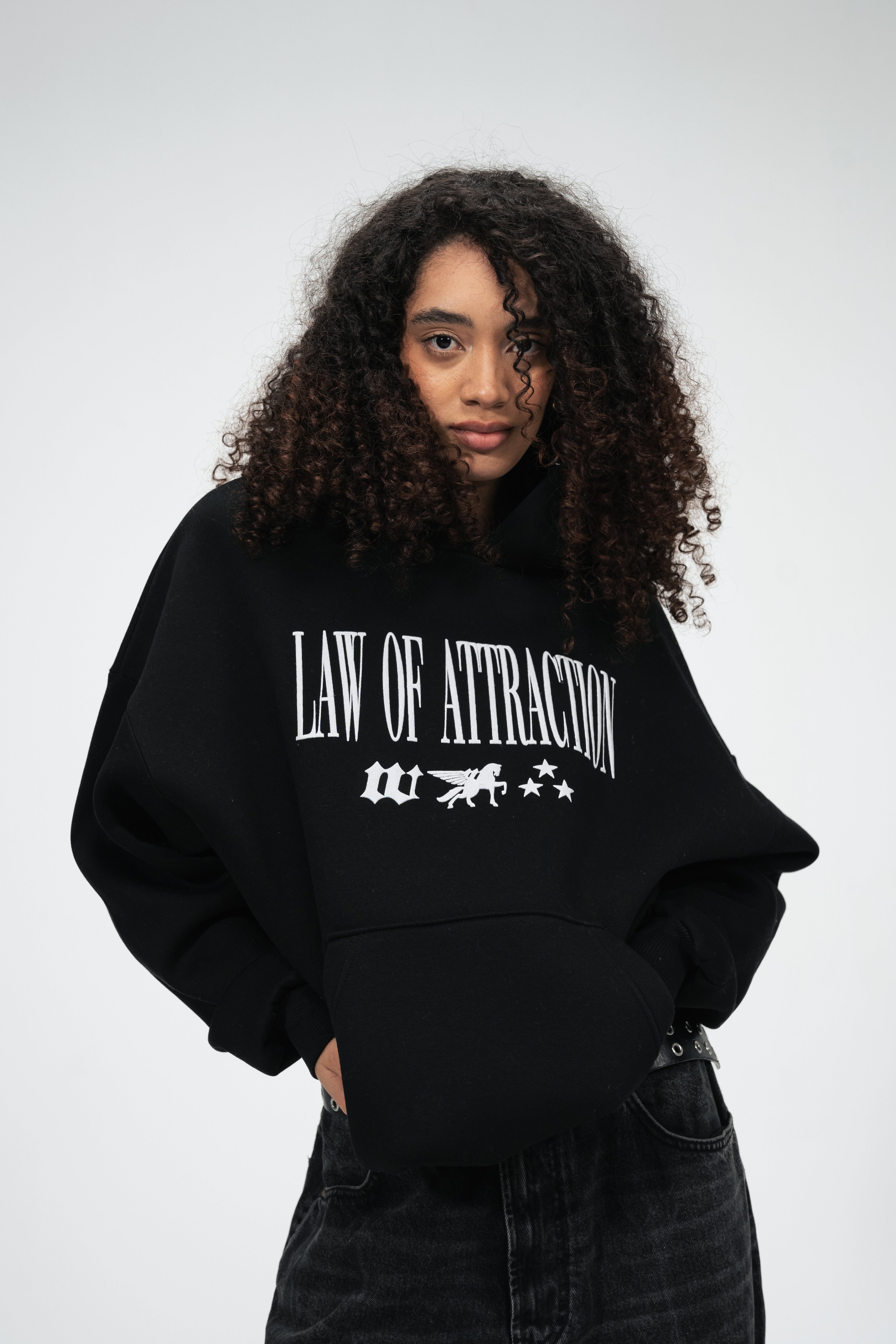 Law of Attraction Hoodie