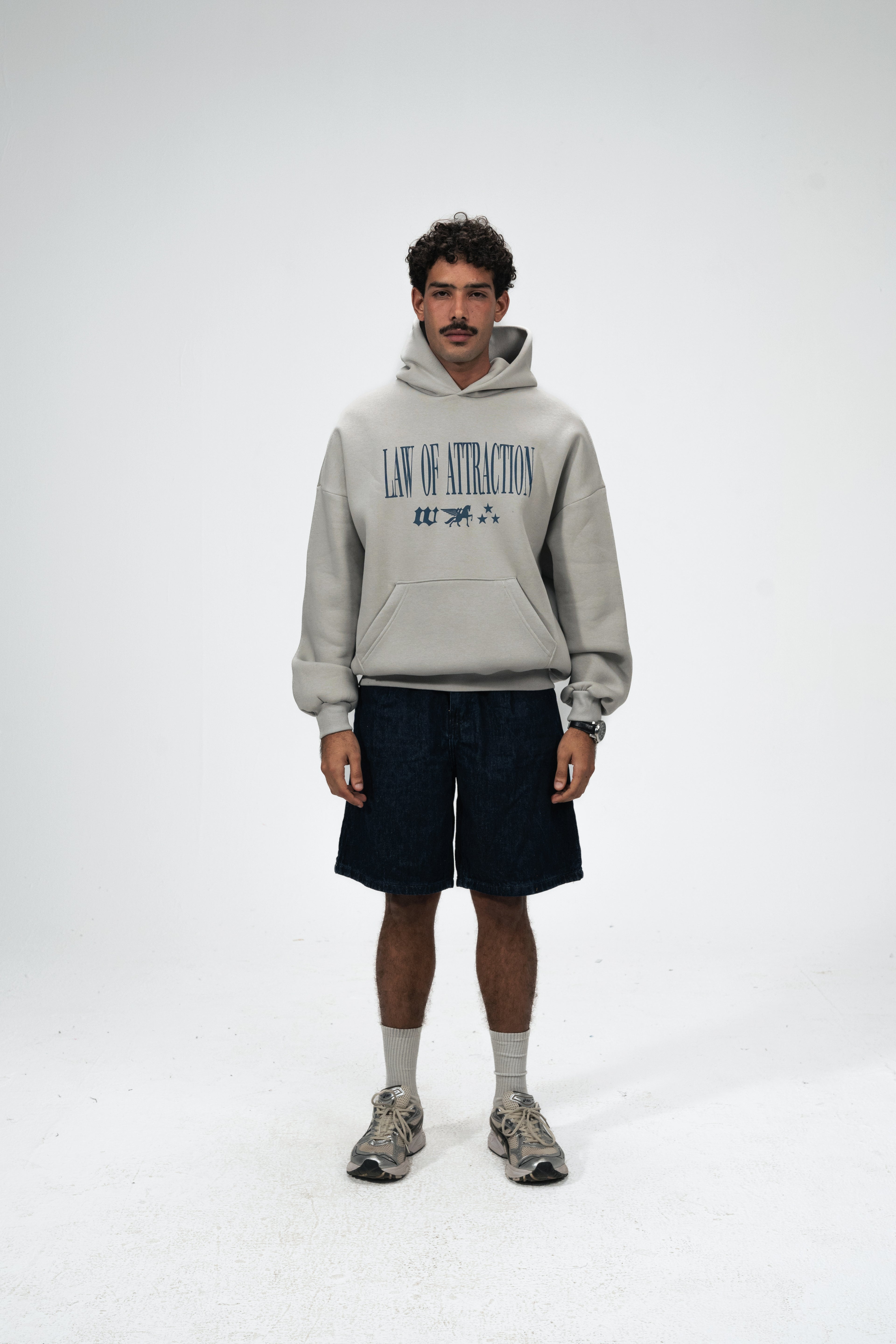 Law of Attraction Hoodie