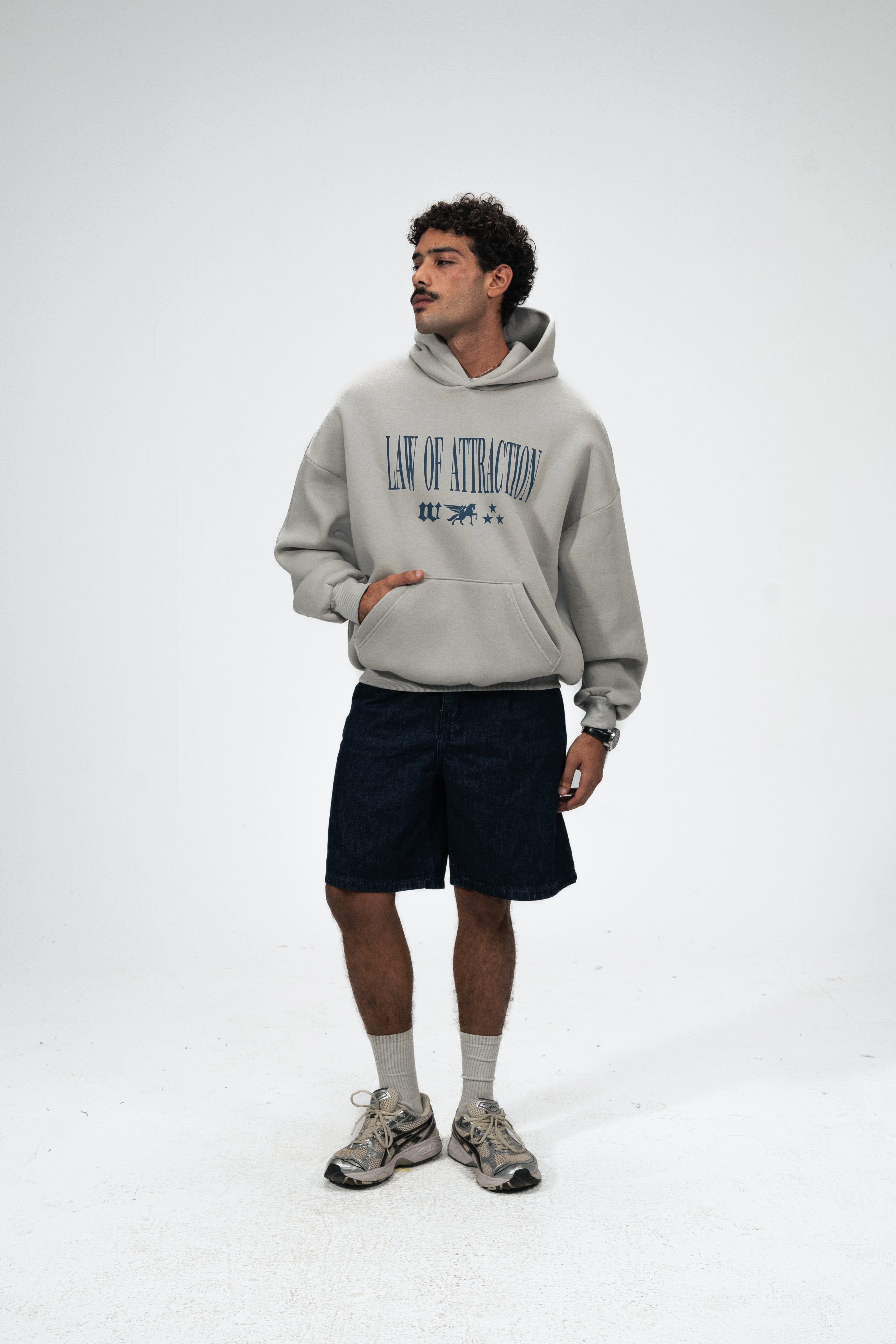 Law of Attraction Hoodie