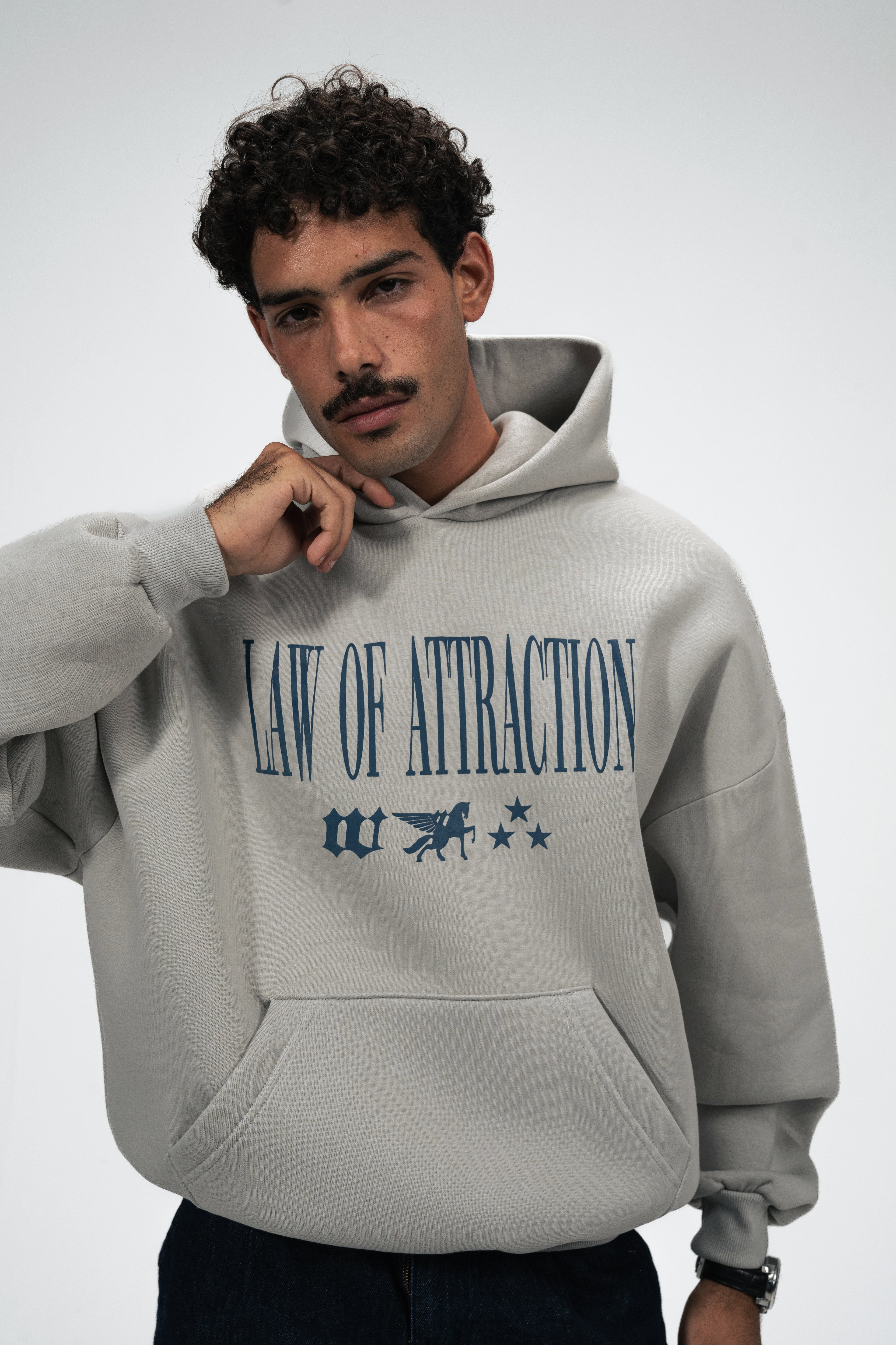 Law of Attraction Hoodie