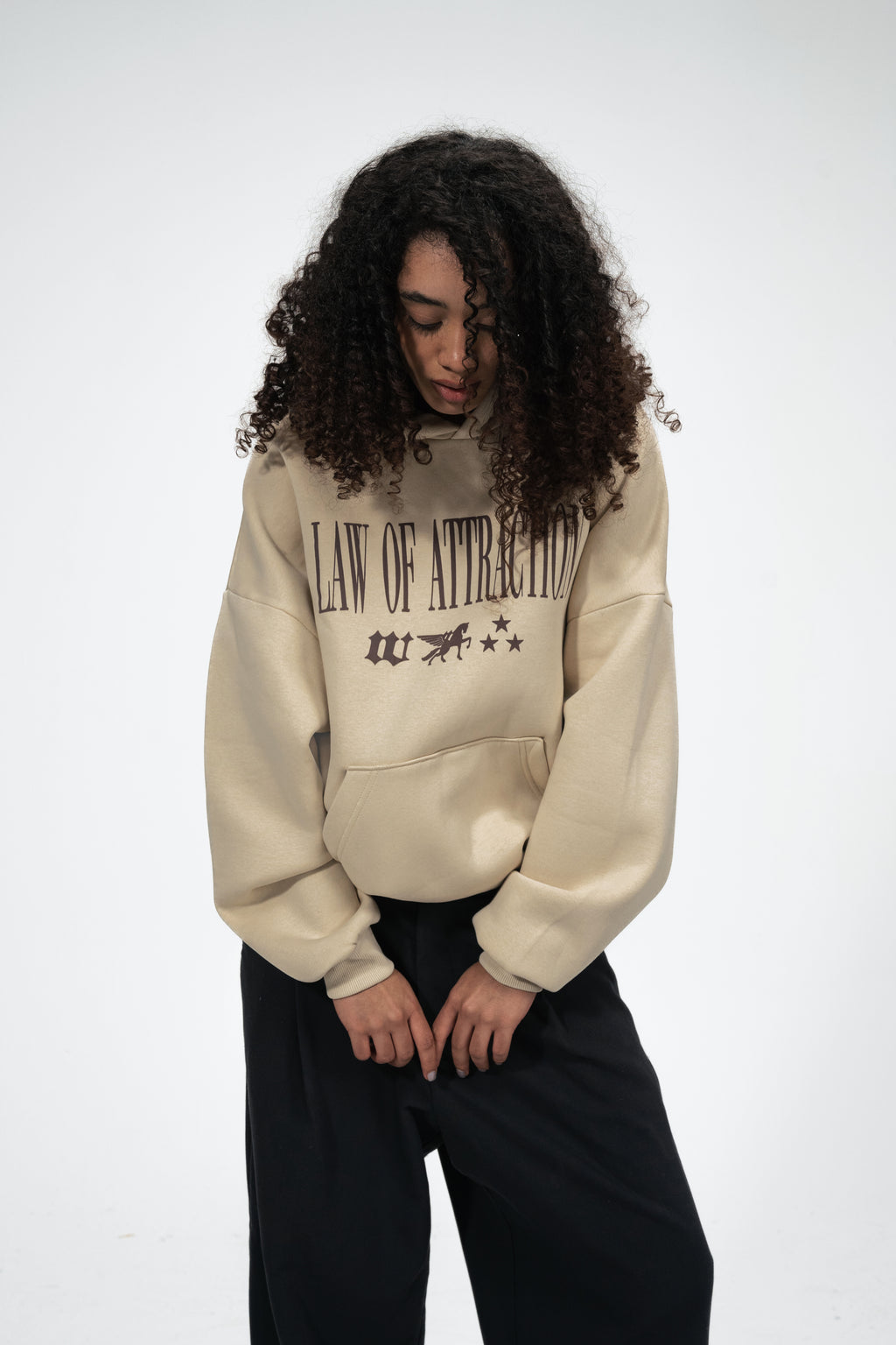 Law of Attraction Hoodie