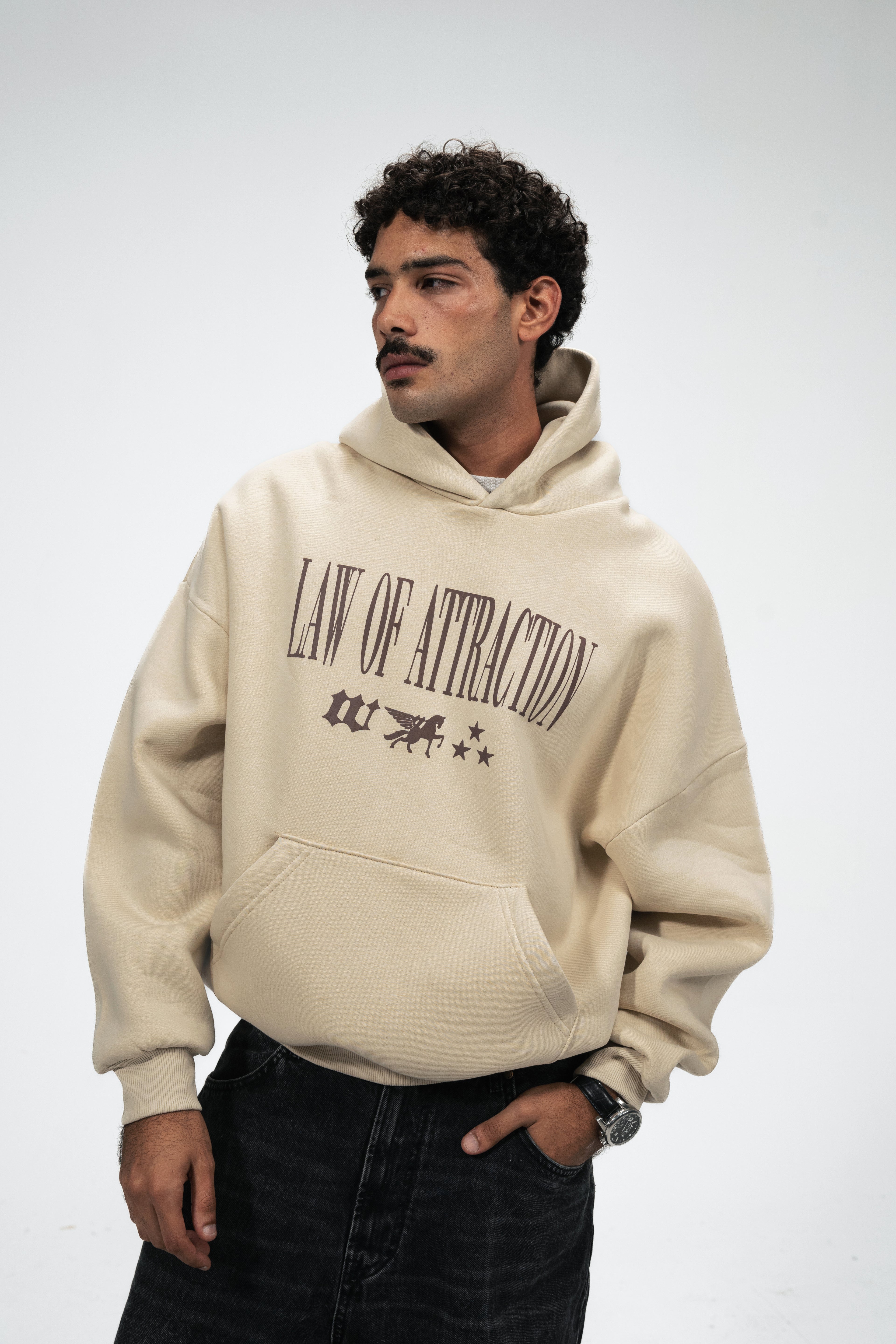 Law of Attraction Hoodie