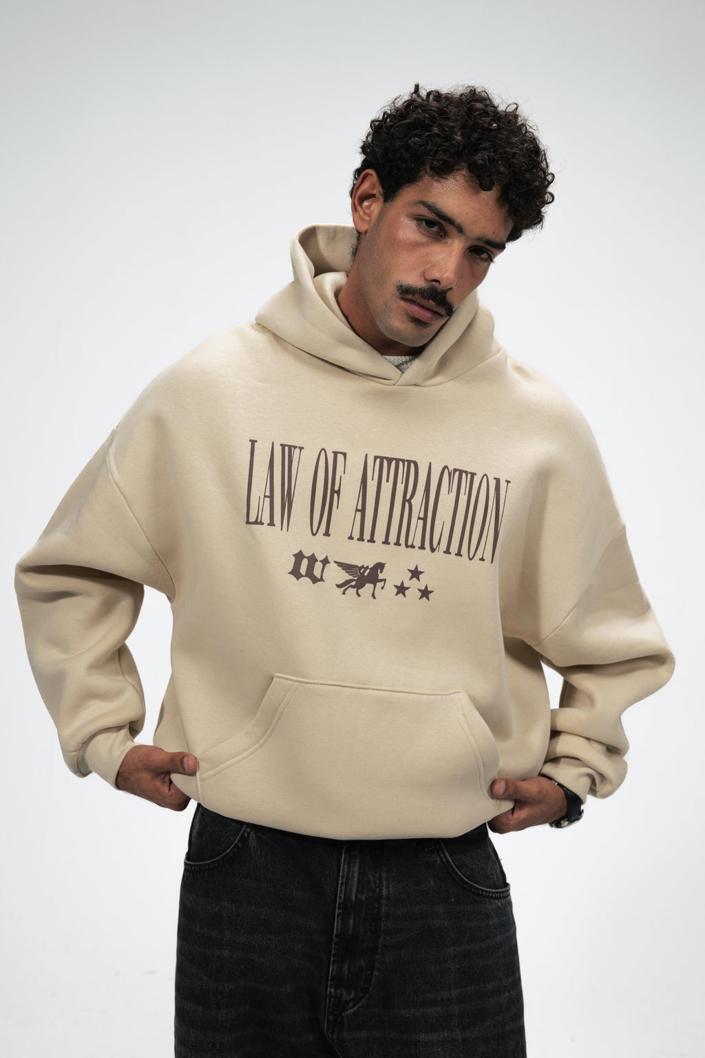 Law of Attraction Hoodie