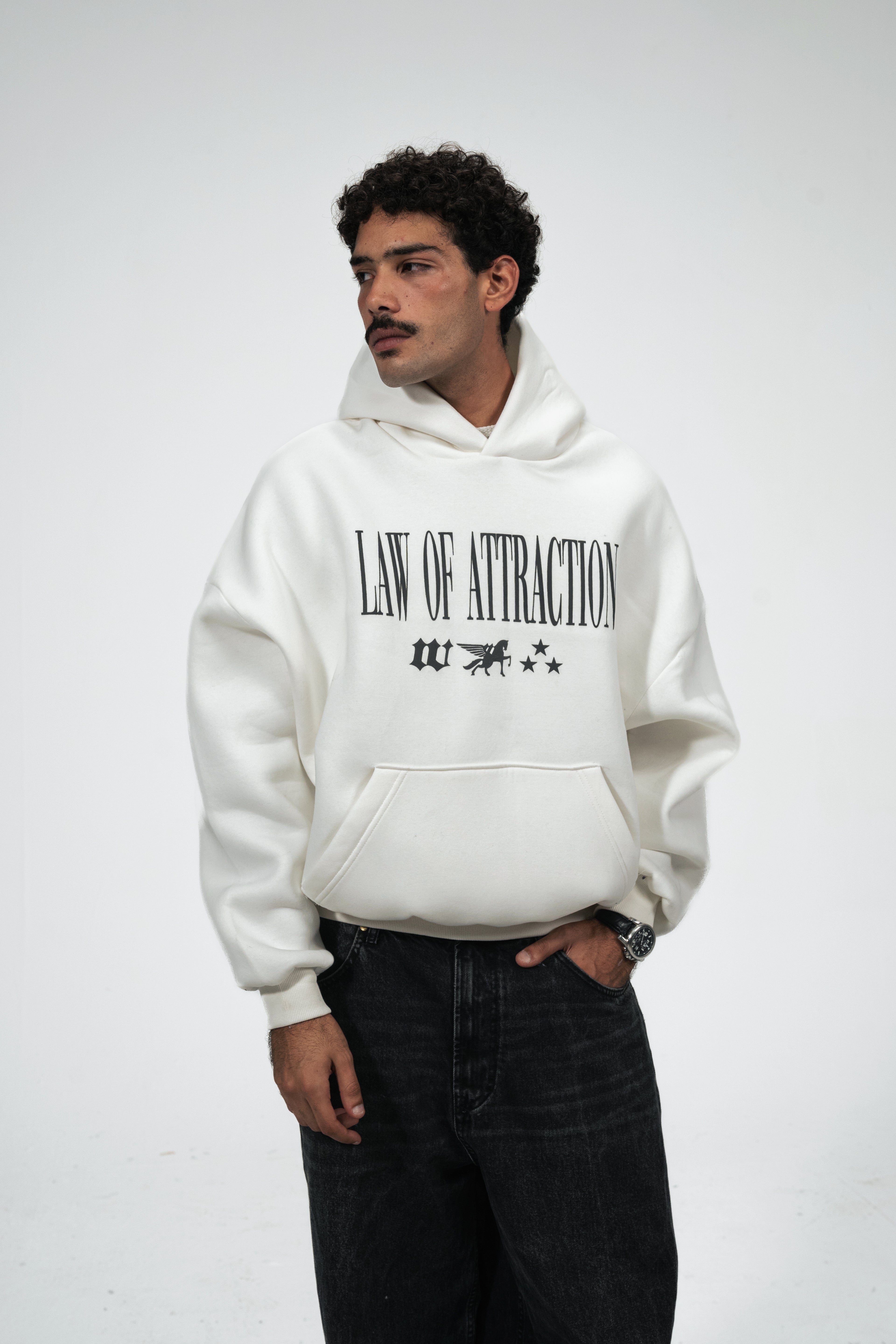 Law of Attraction Hoodie